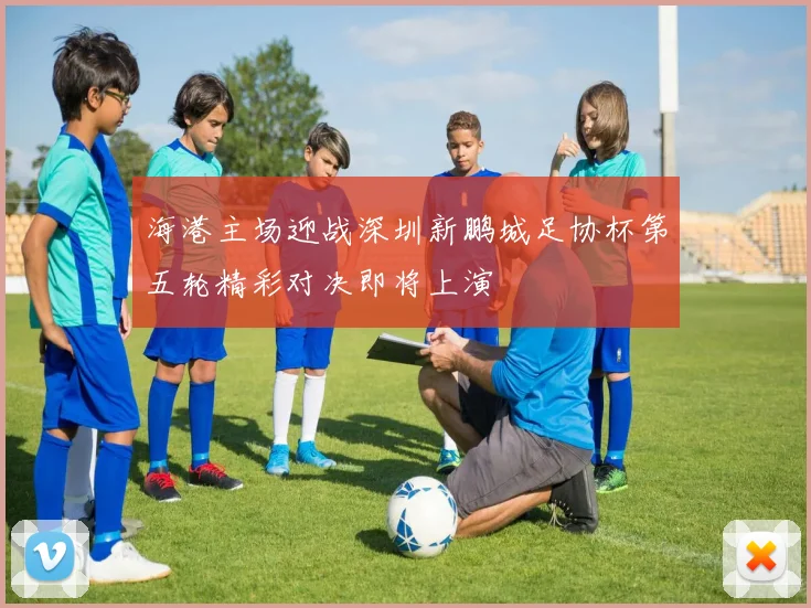 海港主场迎战深圳新鹏城足协杯第五轮精彩对决即将上演